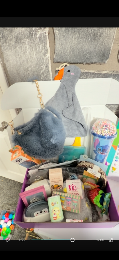 Cutesy Girl Surprise Box - Cute Vibes! All Ages - Character & Non-Character Options